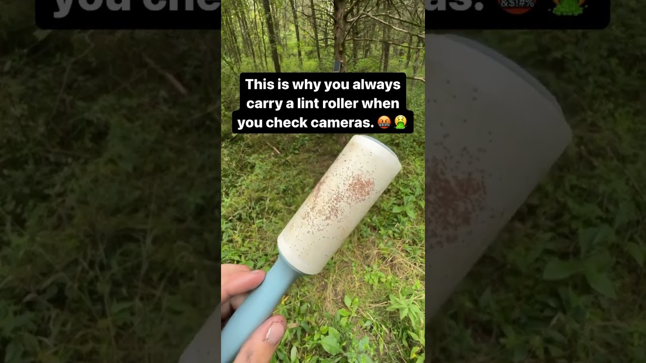 Seed ticks on seed ticks! 