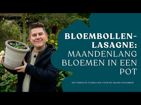 🌷 Bloembollenlasagne maken: