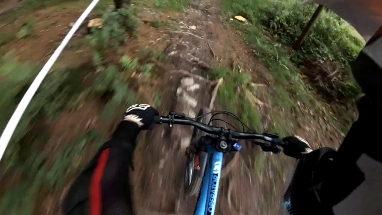 Bikepark - Hahnenklee (Downhill Track) 2017