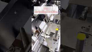 Toy Cartoning Machine | Automatic Toy Packaging Solution