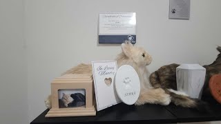 How To Make A Pet Memorial Wall At Home Tribute For Your Beloved Cat Or Dog