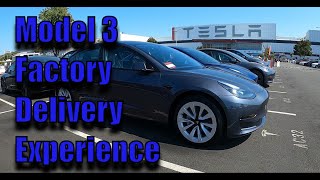 My New 2023 Tesla Model 3 ** Direct Tesla Factory Pickup Delivery Day Experience **
