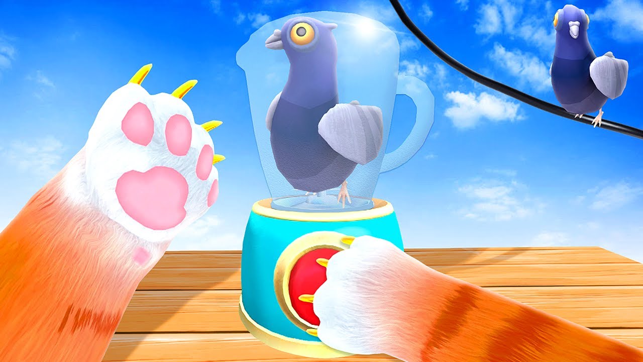 Кот готовит смузи «Голубь» — Я — кот VR