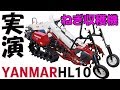 ヤンマーねぎ収穫機HL10実演19/6/10＃703
