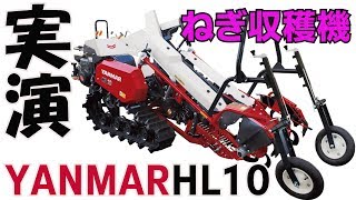 ヤンマーねぎ収穫機HL10実演19/6/10＃703