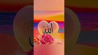 Islamic dpz collection❤️ || Allah Muhammad name dp images for WhatsApp |Beautiful |dpzlovers #Allah