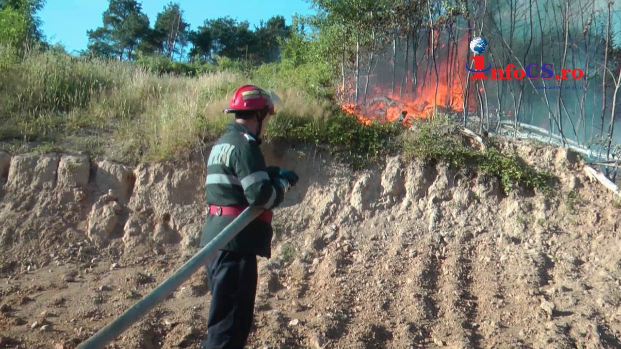 Incendiu de vegetatie la Moniom