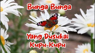 Bunga Bunga yang disukai Kupu kupu, Bunganya Indah Kupu-kupunya Cantik | #kupukupu #nektar