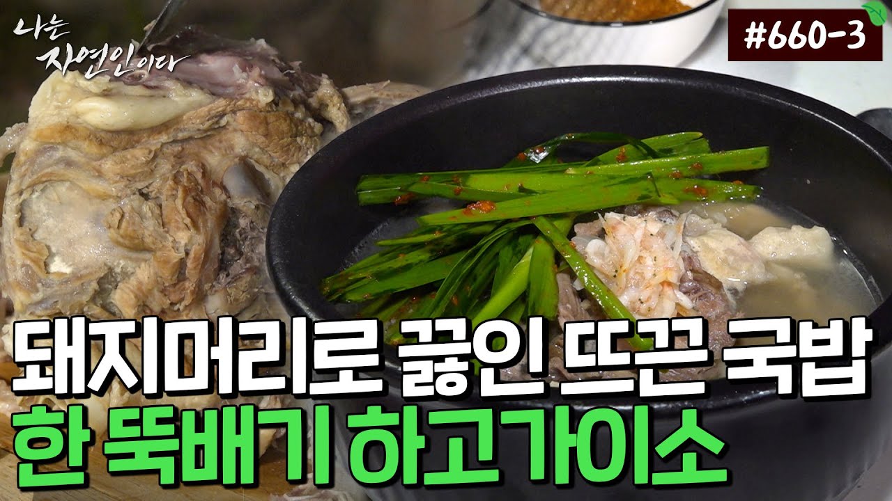 맛집 바이브 물씬~!! 뽀얗게 우려낸 돼지머리 국밥 한 그릇｜자연인 다시보기 660-3