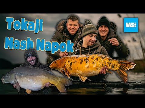 I. TOKAJI 🍇 NASH NAPOK 🤟🏻- Évindító közönségtalálkozó és csapat horgászat a TOKAJI KOVÁCS Tavon 🎣