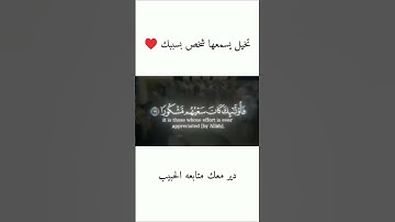 تلاوة القرآن الكريم 💚💚💚 #اكسبلور #الجميع #المصحف #المتابعين #لايك #الرحمن #للجميع #للمتابعين #تفاعل