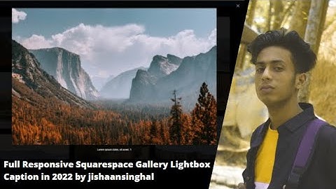 Full Responsive Squarespace Gallery Lightbox Caption in 2022 by jishaansinghal