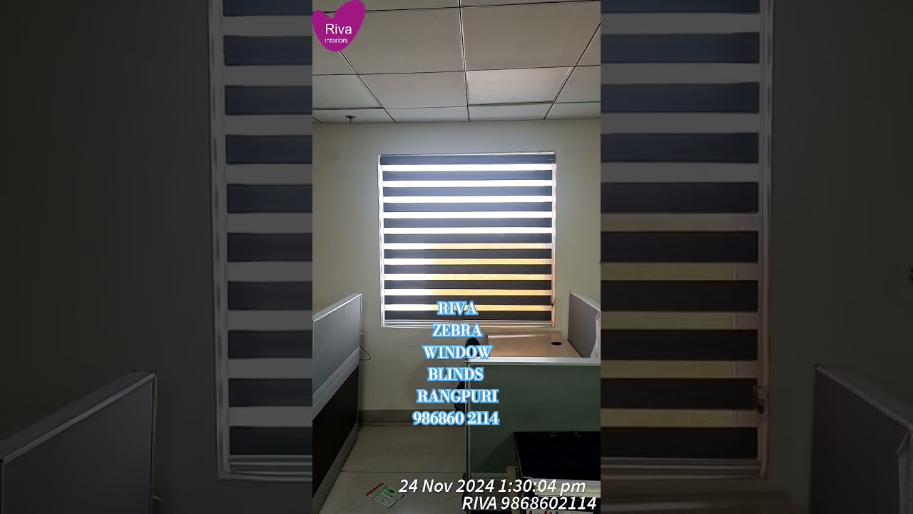 ZEBRA WINDOW BLINDS FOR OFFICE 