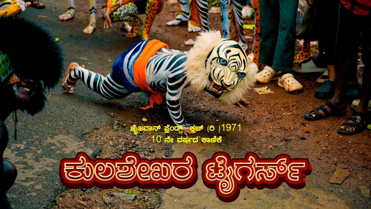 10 ನೇ ವರ್ಷದ ಕಾಣಿಕೆ ಕುಲಶೇಖರ ಟೈಗರ್ಸ್ | D MIGHTY STUDIO