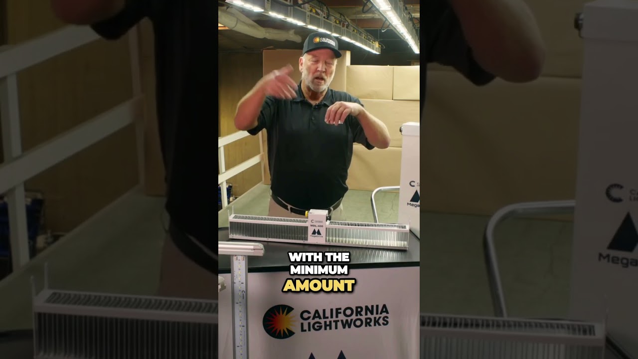 What are the best LED grow lights for growing in a greenhouse?