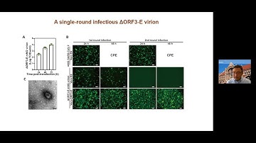 Pei-Yong Shi, Virtual COVID-19 Symposium: March 17, 2021
