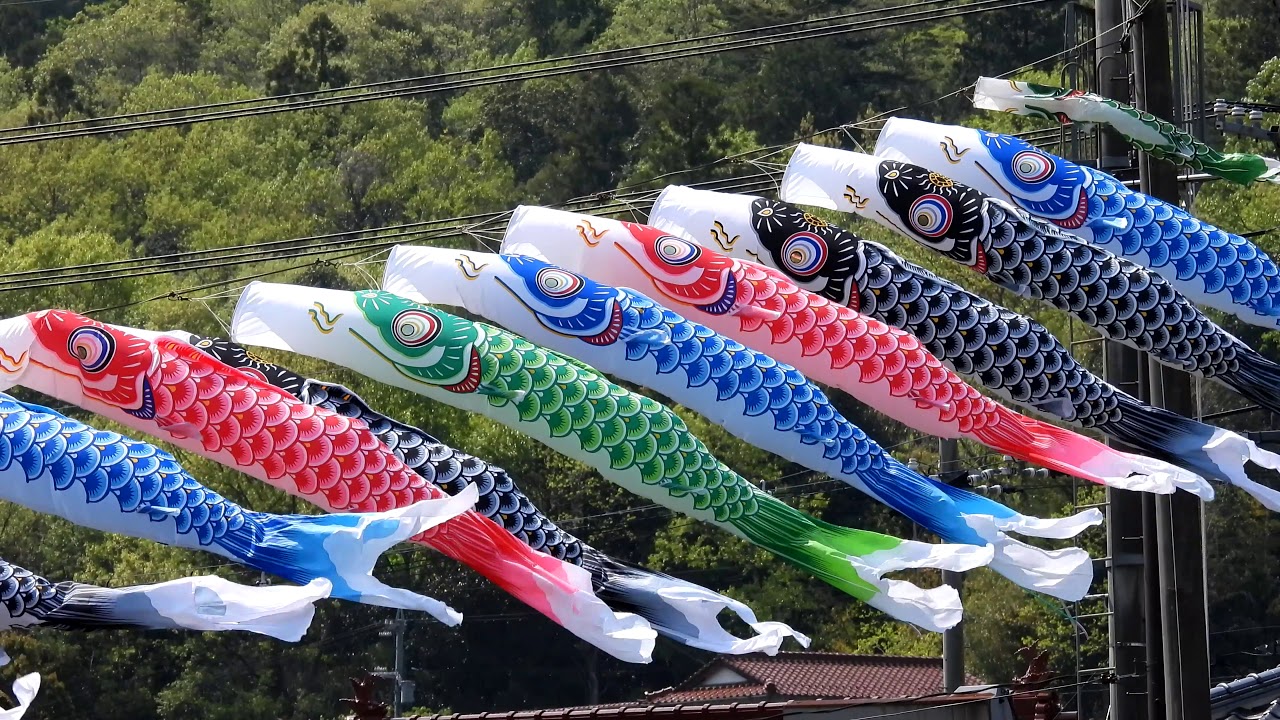三篠川の鯉のぼり (2020) 4K  /  Carp streamers on Misasa River