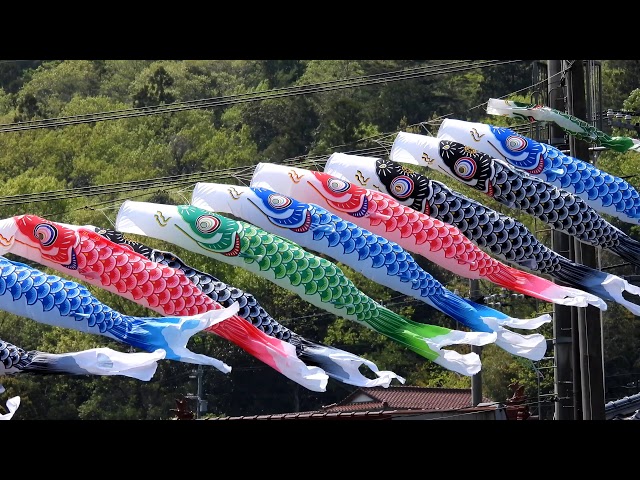 三篠川の鯉のぼり (2020) 4K / Carp streamers on Misasa River - YouTube