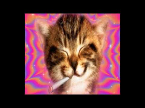 the algorithm sent you the right background music
