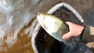 A tough trout fly session on Ladybower. Above Average Angler