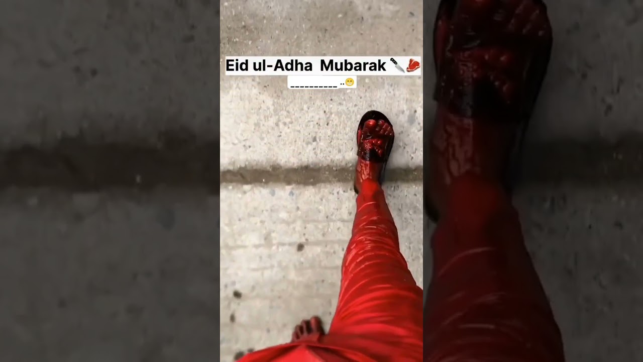 Eid-ul-Azhaa  Mubarak.❣️❣️2025