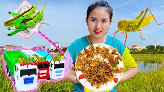 Going to the field to catch locusts to eat - make roasted grasshoppers - Part 257