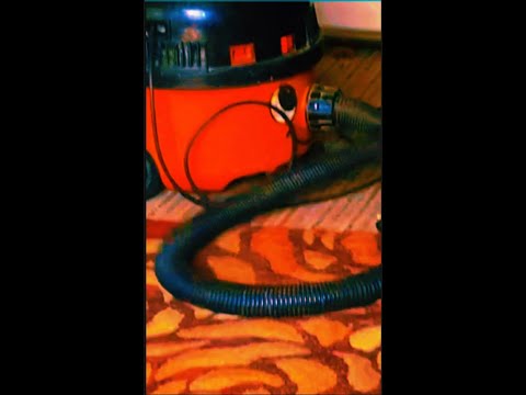 VAC MAN SCOOP 🙋‍♀️ #vacuuming #shorts