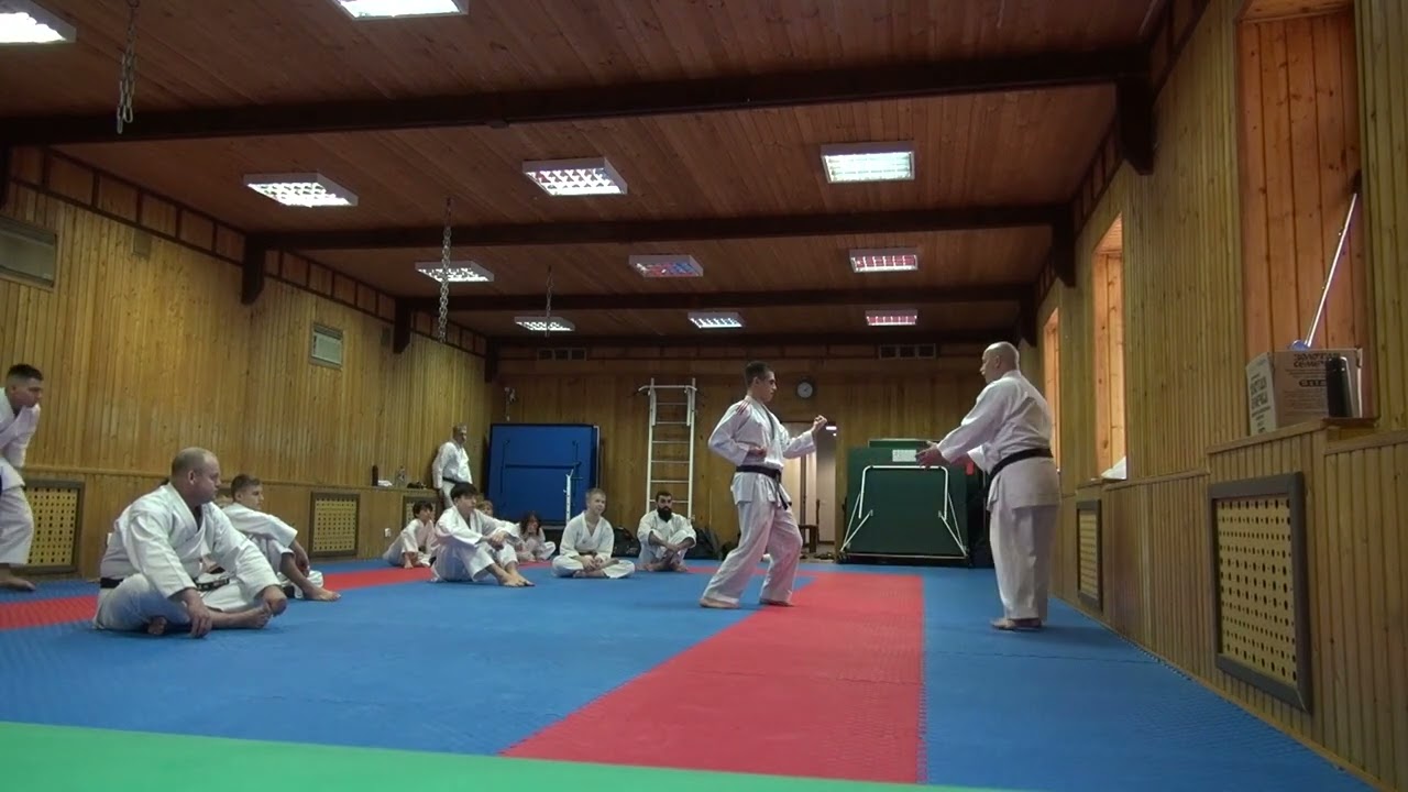 Ката Гекисай дай 1.