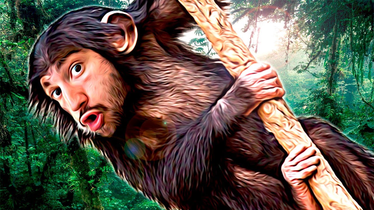 MONOS vs HUMANOS haciendo PARKOUR YouTube