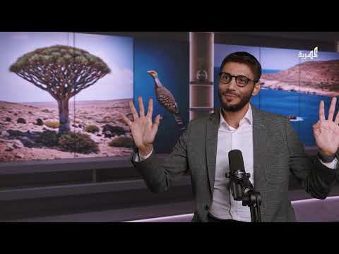 جنة سقطرى | أسرار غامضة في كهوف لم تصلها قدم بشر وآثار تاريخية لمئات السنين