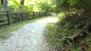 White Clay Creek, path and bridge near Wedgewood Road parking lot -- Aug. 22, 2015