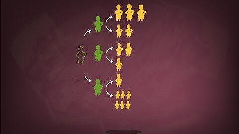 Powerful Purposeful Sampling: 12 Distinctly Useful and Illuminative Strategies