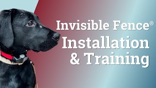 Invisible Fence® Installation & Training Experience by Canine Company 188 views 1 year ago 1 minute