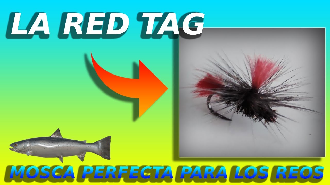 💥RED TAG💥 La mosca que no te defraudara con los reos💥🐟