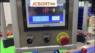 Compact Nectarine Weight Grading Machine | Cost-Effective Fruit Weight Sorter | JCSORT