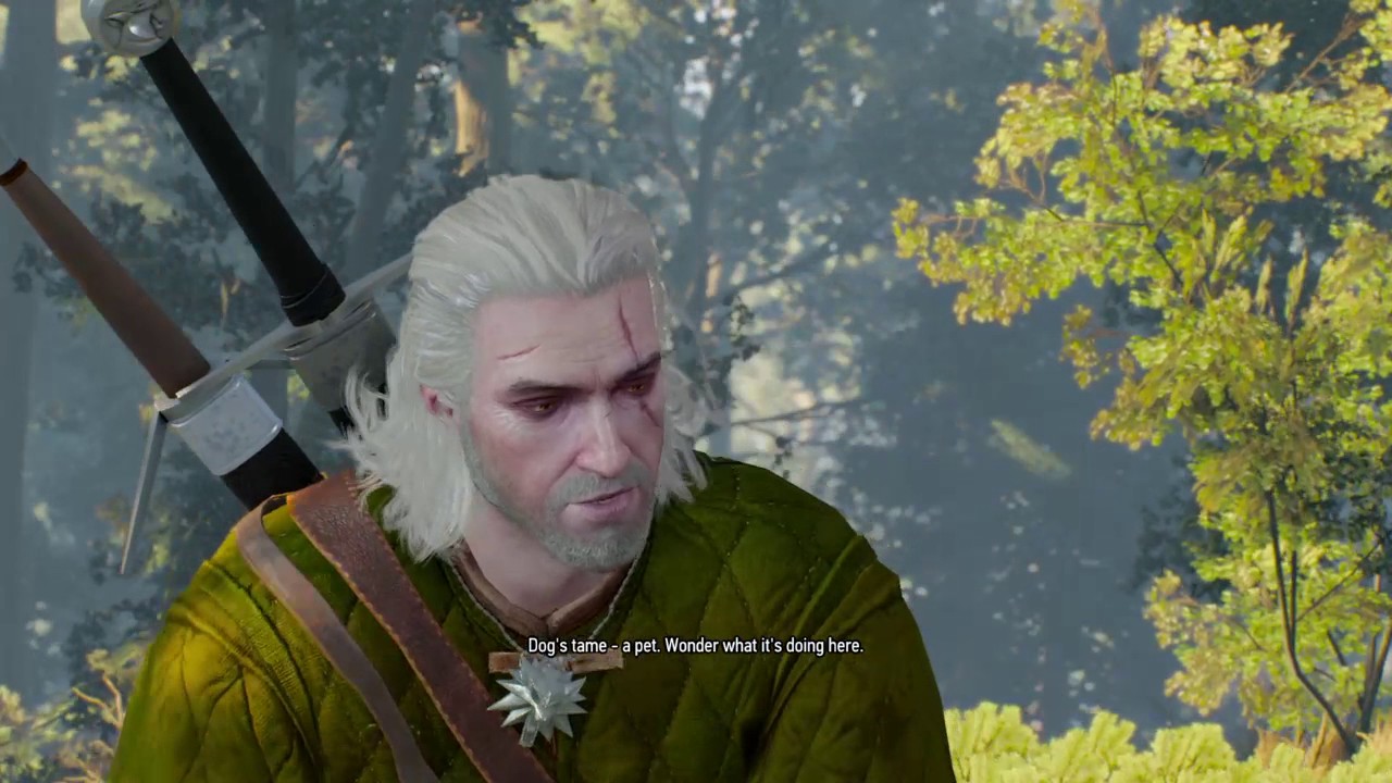 A Dog's Life The Witcher 3 Wild Hunt