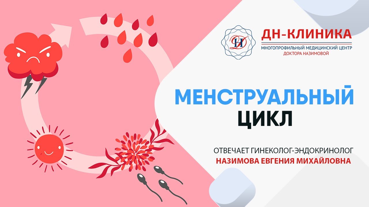 Менструальный Цикл. Женское здоровье. Доктор Назимова