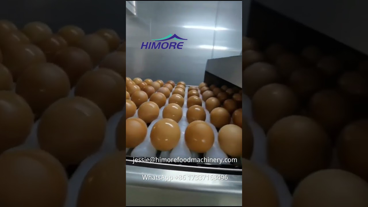 Egg Powder Production Plant-Breaking Yolk White Separating, Pasteurization,Spray Drying,Screening