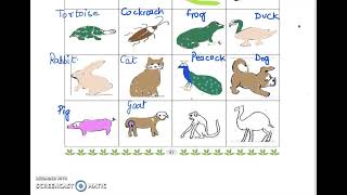 Class 3 PSEB My World (Environment Studies) - Animals: An introduction (Lesson- 7) (Part 1)
