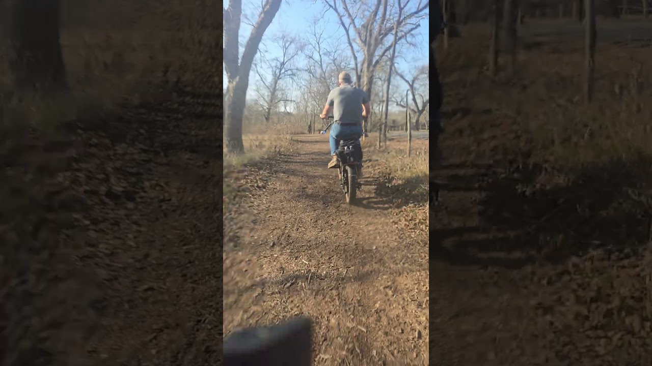 Owl ride at Berry springs park