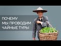 Почему мы проводим чайные туры в Китай?