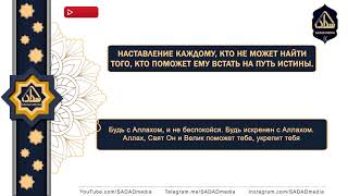 Не могу найти того, кто помог бы мне встать на путь истины | Шейх Мухаммад Аль-Мухтар Аш-Шанкыти