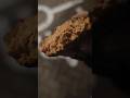 TE NIEMIECKIE MIELONE JAKIEŚ DZIWNE #food #dlaciebie #jedzenie #vlog #test #gotowanie