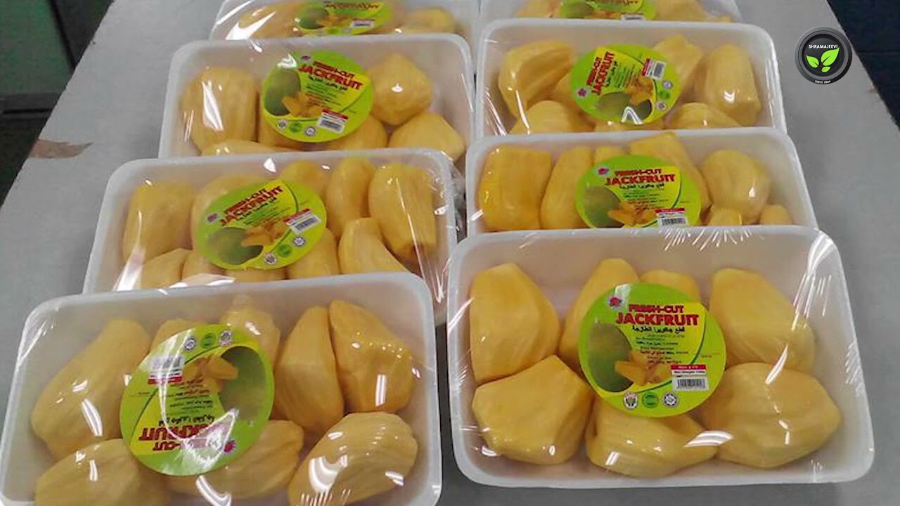 ಹಲಸು 1,   Jackfruit 1