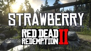 Strawberry Town Narrated Tour - Red Dead Redemption 2