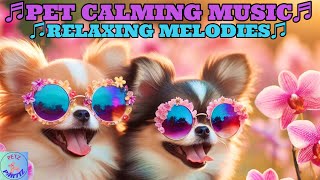 RELAXING MUSIC FOR YOUR FRAGRANT FURRIES!🌺🐩💞A Floral 💐Melody for🌸Orchid Day🌸🌎