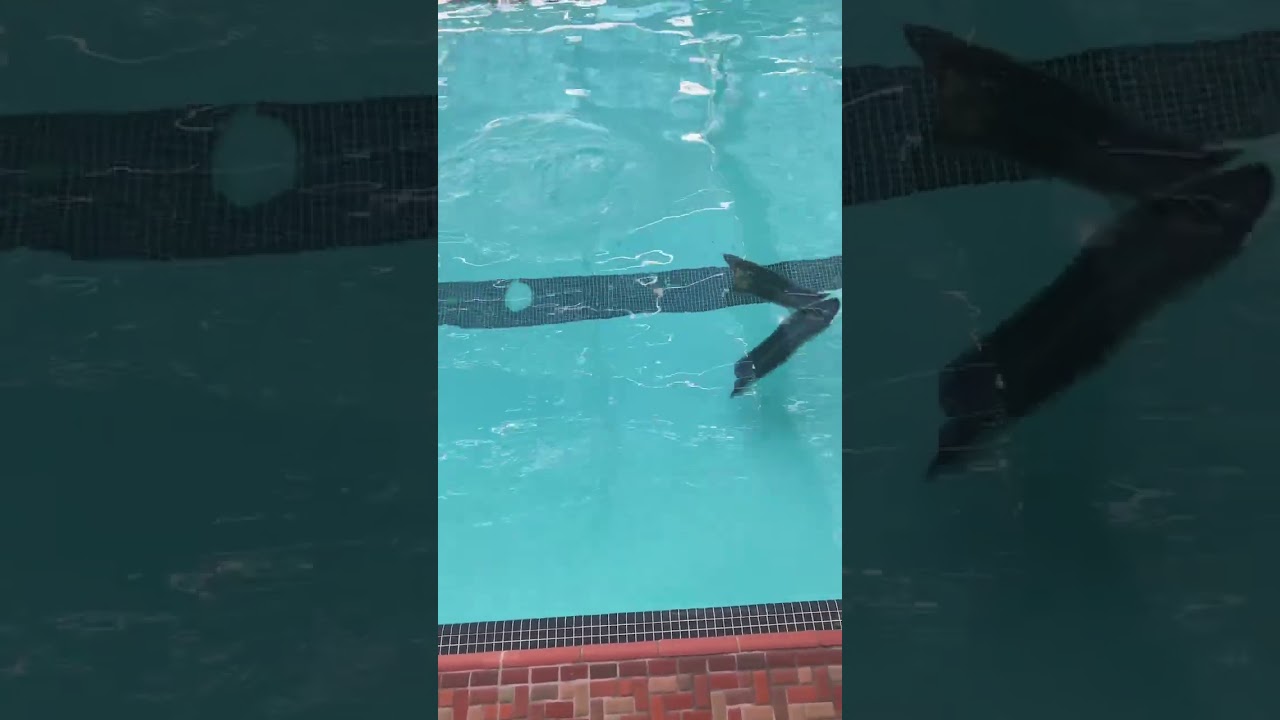 What is your favorite way to train in the off season?