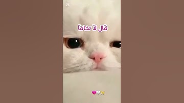 قَال لاَ تخافاَ 😭🥹 # بصوت القارئ إسلام صبحي#قرآن كريم#المصحف#