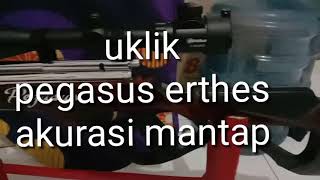 Uklik Pegasus