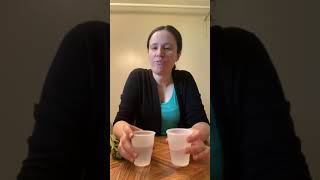 What happens to celery when placed in colored water? (science)